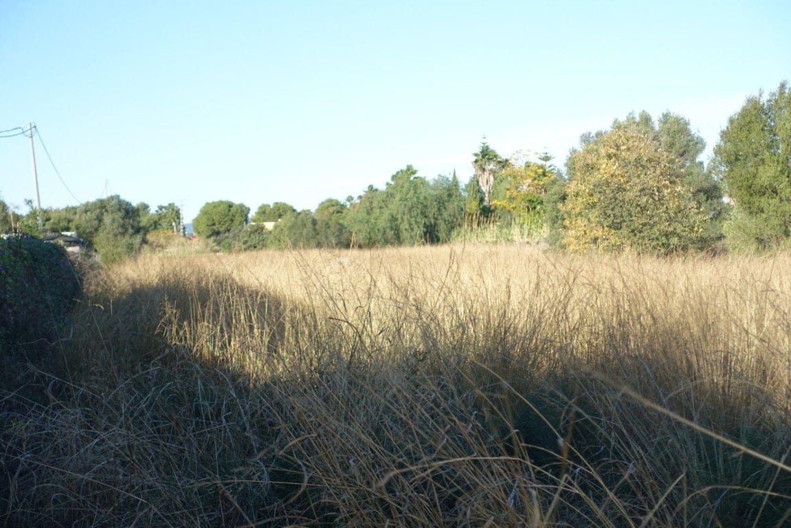 Plot in Els Poblets