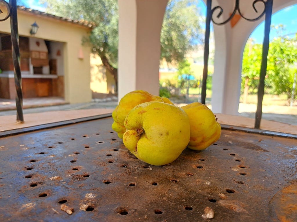 Family villa with pool for sale in Orba - Foto 19