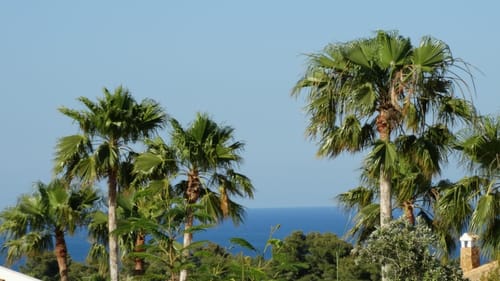 Parcela exclusiva con vistas al mar en una ubicación privilegiada en España: su lienzo para la vida costera en Jávea